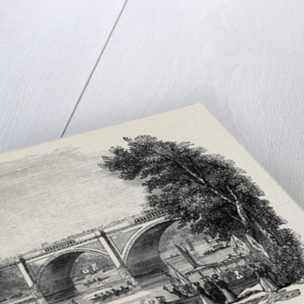 The Durham Regatta. by Anonymous