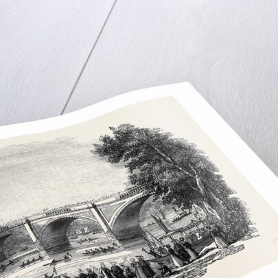 The Durham Regatta. by Anonymous