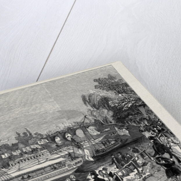 Swan-Upping on the Thames, from Brentford Ait. by Anonymous