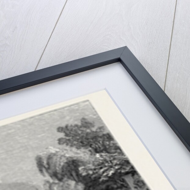 Swan-Upping on the Thames, from Brentford Ait. by Anonymous