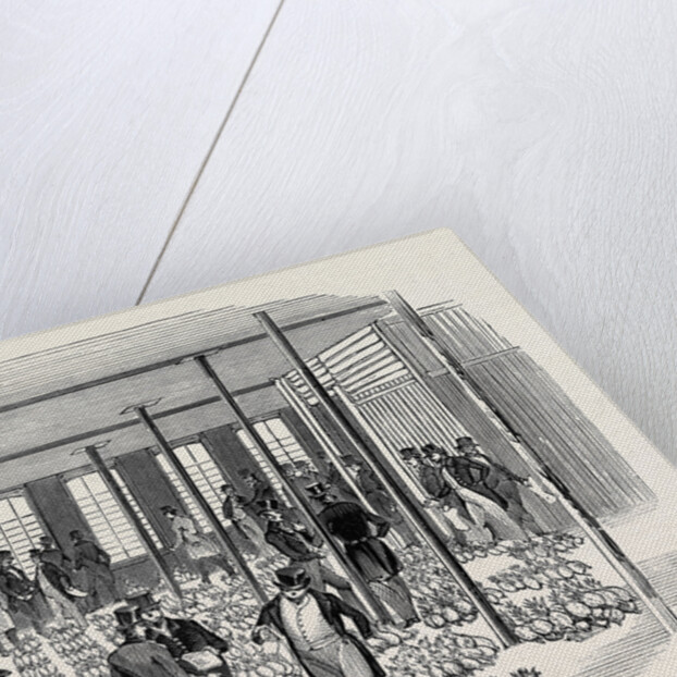 Sale of West India Pine Apples. by Anonymous