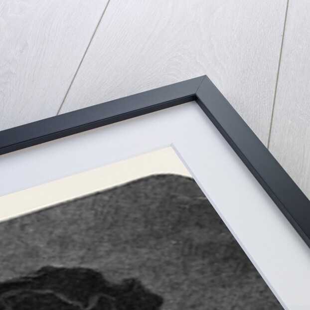 A Jewish Rabbi, in the National Gallery by Anonymous