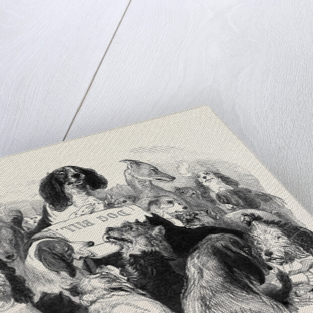 The Dog Bill Committee by Anonymous