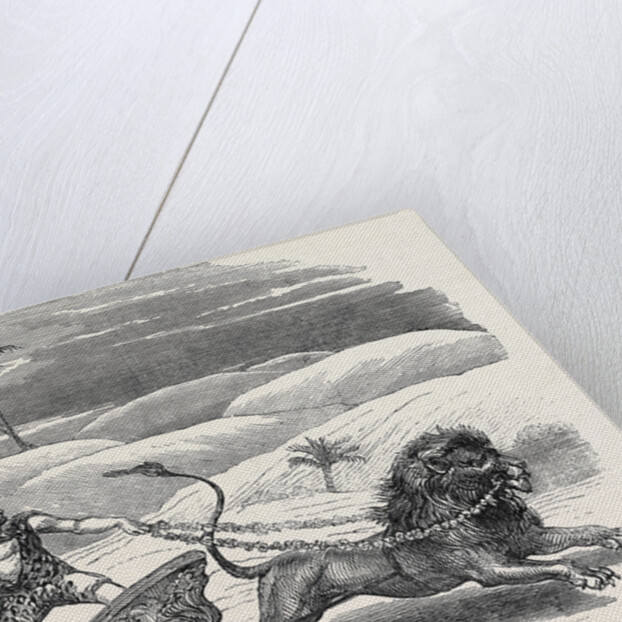 Carter's Lion Chariot Feat by Anonymous