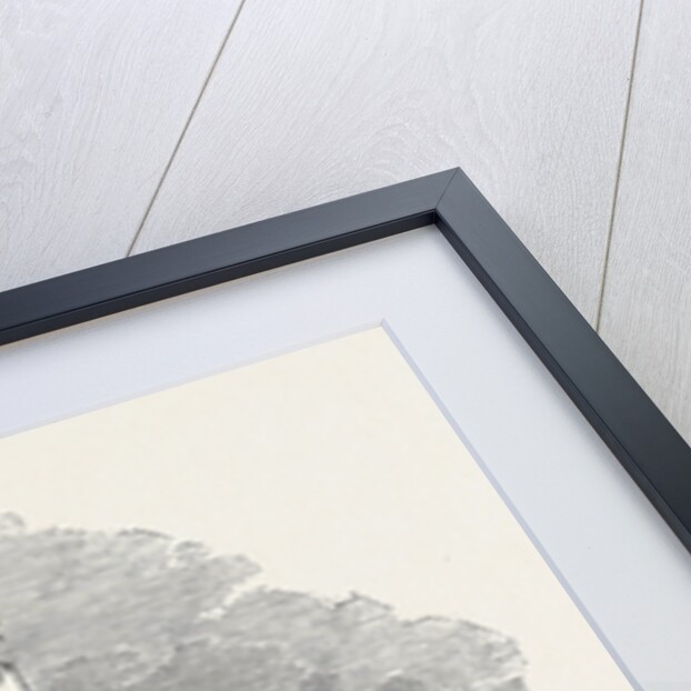 Ceremony of Laying the Foundation Stone of the Durham Monument, on Pensher Hill. by Anonymous