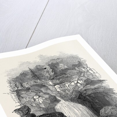 Lower Falls of the Bruar by Anonymous