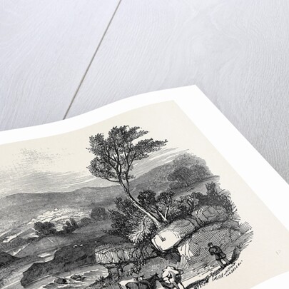 Blair Athol by Anonymous