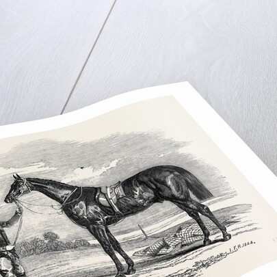 Foigh-a-Ballagh, the Winner of the Great St. Leger and Grand Duke Michael Stakes by Anonymous