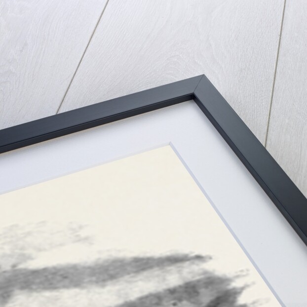 Aden the Gibraltar of the Red Sea by Anonymous