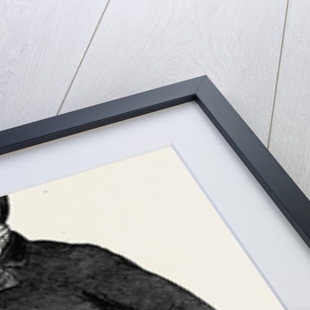 Daniel Forrester, Aged 45 by Anonymous