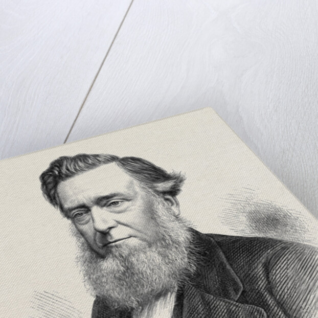 The Rev. John H. James D.D. President of the Wesleyan Methodist Conference 1871 by Anonymous