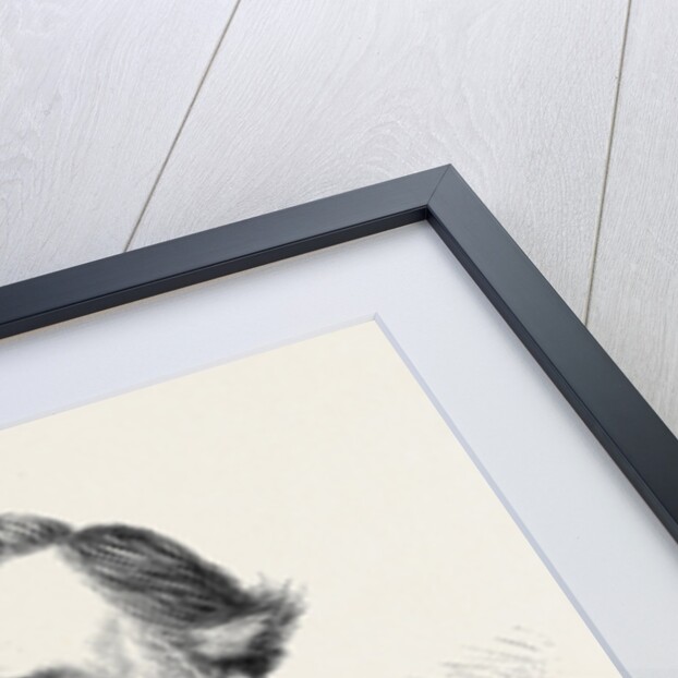 The Rev. John H. James D.D. President of the Wesleyan Methodist Conference 1871 by Anonymous