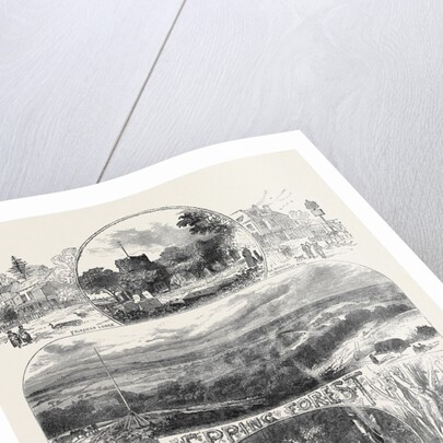 Sketches in Epping Forest 1871 by Anonymous