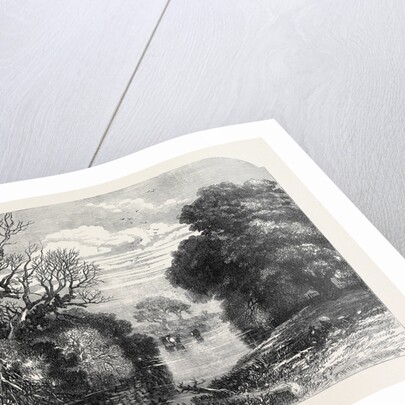 View in Tichborne Park Alresford Hants. 1871 by Anonymous