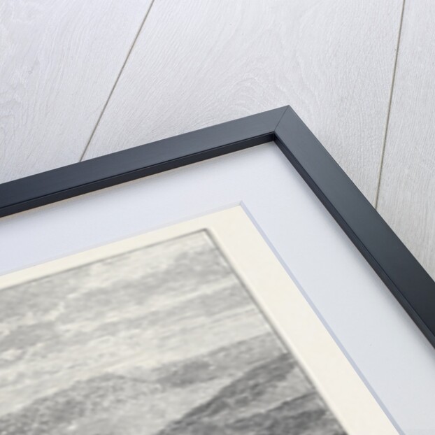 The Scott Centenary: Fete at Newark Castle Selkirk 1871 by Anonymous