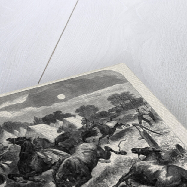 Stampede of Cavalry Horses at Aldershott Camp 1871 by Anonymous