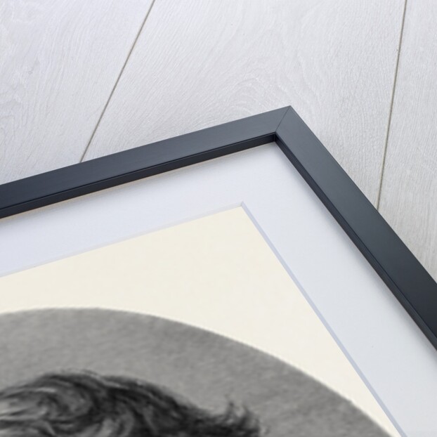 Admiral Lord Nelson from the Picture in the National Portrait Gallery 1871 by Anonymous