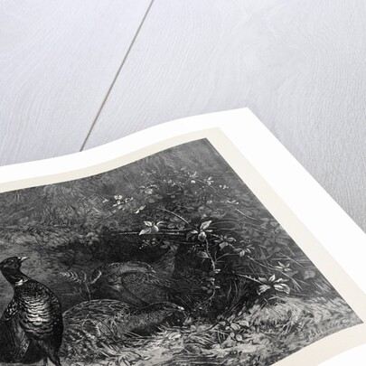 The Months: October by Anonymous