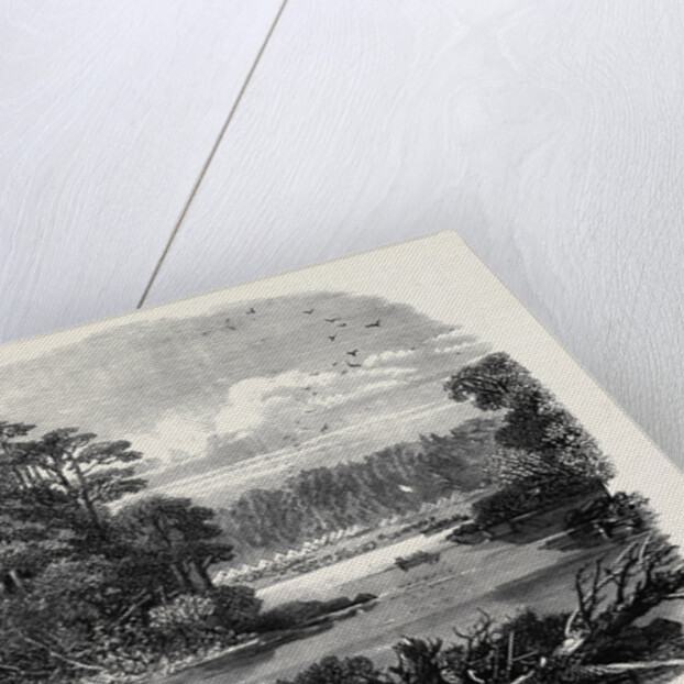 The Red River Expedition: Camp of the 60th Rifles Near Shebandowan 1871 by Anonymous