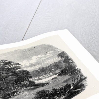 The Red River Expedition: Camp of the 60th Rifles Near Shebandowan 1871 by Anonymous