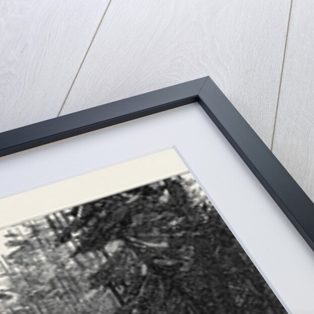 The Red River Expedition: Crossing a Portage 1871 by Anonymous