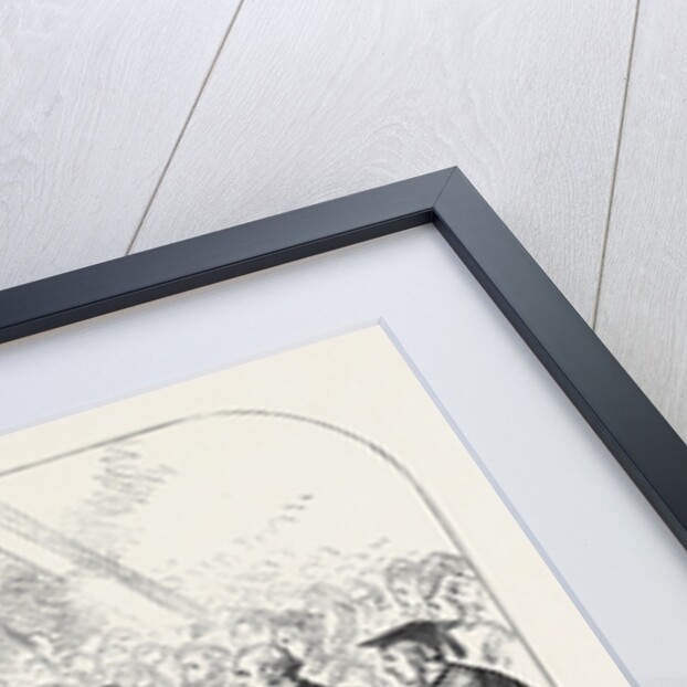 Lord Leigh Laying the Foundation-Stone for the Extension of the Queen's Hospital at Birmingham 1871 by Anonymous