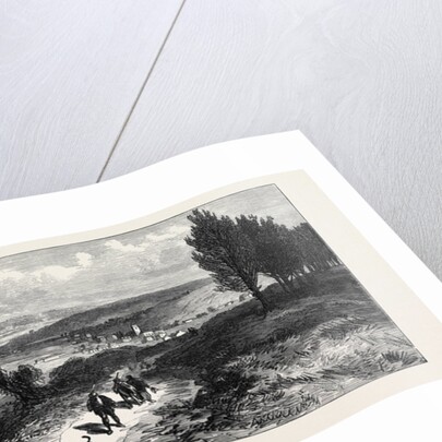 View Near Sandringham Looking North-West to Dersingham and the Railway at Wolferton 1871 by Anonymous