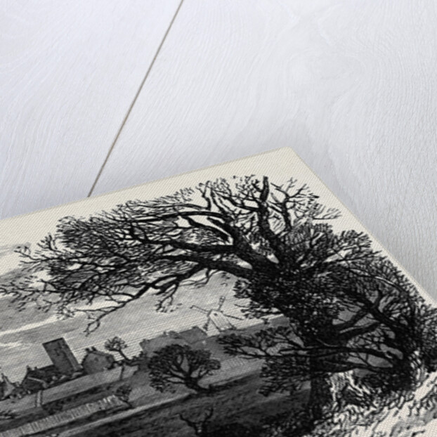 West Newton from the Deer Park Sandringham 1871 by Anonymous