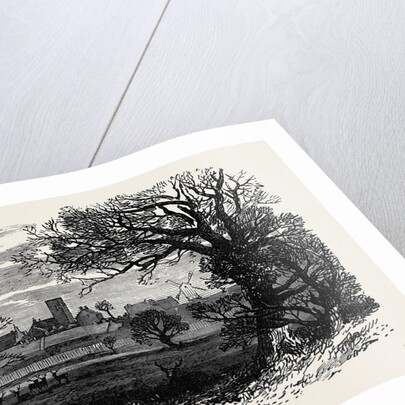 West Newton from the Deer Park Sandringham 1871 by Anonymous