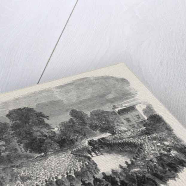 Funeral of Mr Braidwood the Late Chief of the London Fire Brigade in Abney Park Cemetery by Anonymous