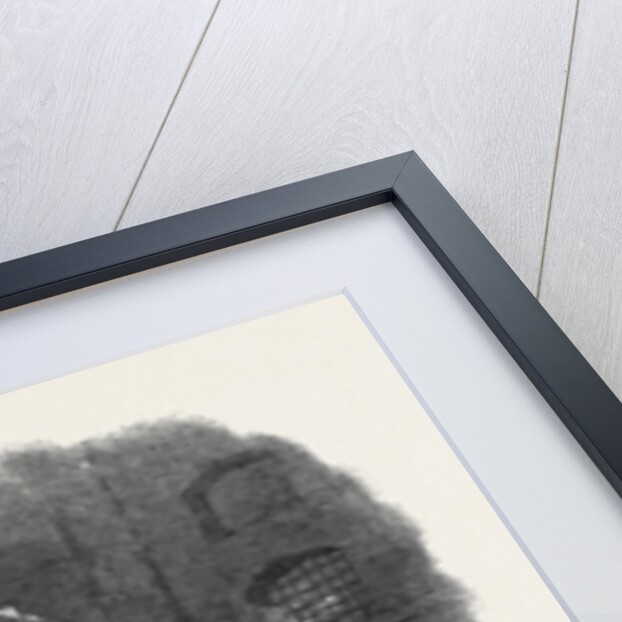 View from Cotton's Yard Showing the Spot Where Mr Braidwood Was Killed the Great Fire in Southwark July6 1861 by Anonymous