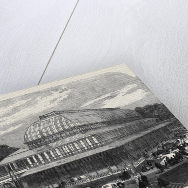 The Conservatory in the Royal Horticultural Society's Gardens South Kensington by Anonymous