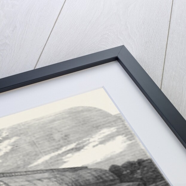 The Conservatory in the Royal Horticultural Society's Gardens South Kensington by Anonymous