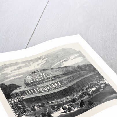 The Conservatory in the Royal Horticultural Society's Gardens South Kensington by Anonymous