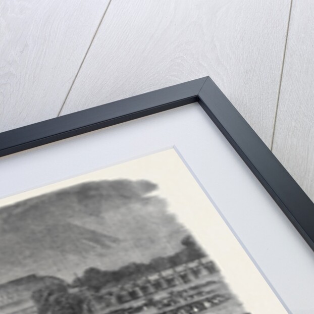 The Royal Horticultural Society's Gardens South Kensington Showing the Conservatory and Portions of the Arcades by Anonymous