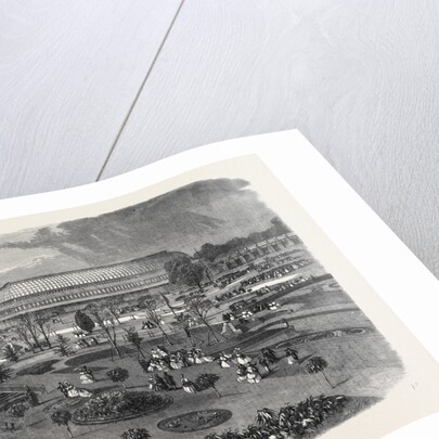 The Royal Horticultural Society's Gardens South Kensington Showing the Conservatory and Portions of the Arcades by Anonymous