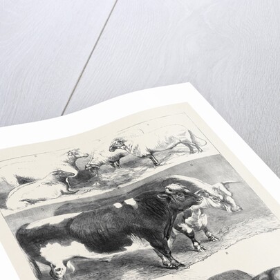 Prize Animals at the Royal Agricultural Society's Show at Leeds July 27 1861 by Anonymous