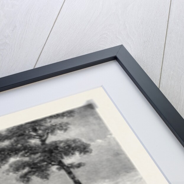 The Implement Yard at the Royal Agricultural Society's Show at Leeds July 27 1861 by Anonymous