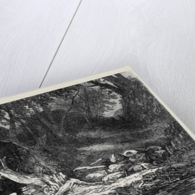 The Woodland Glade, from the Royal Academy Exhibition by Anonymous