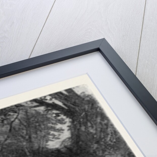 The Woodland Glade, from the Royal Academy Exhibition by Anonymous