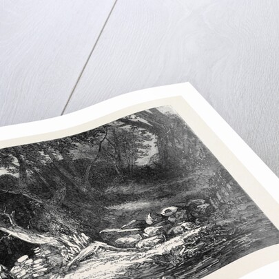 The Woodland Glade, from the Royal Academy Exhibition by Anonymous