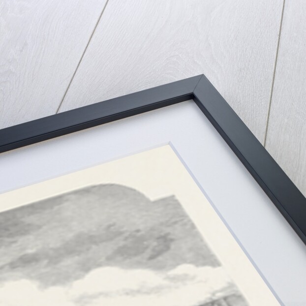 Progress of the Building for the International Exhibition of 1862. by Anonymous