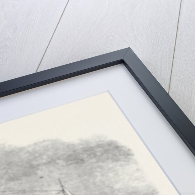 The Peninsular and Oriental Company's New Steamship Mooltan August 3 1861 by Anonymous