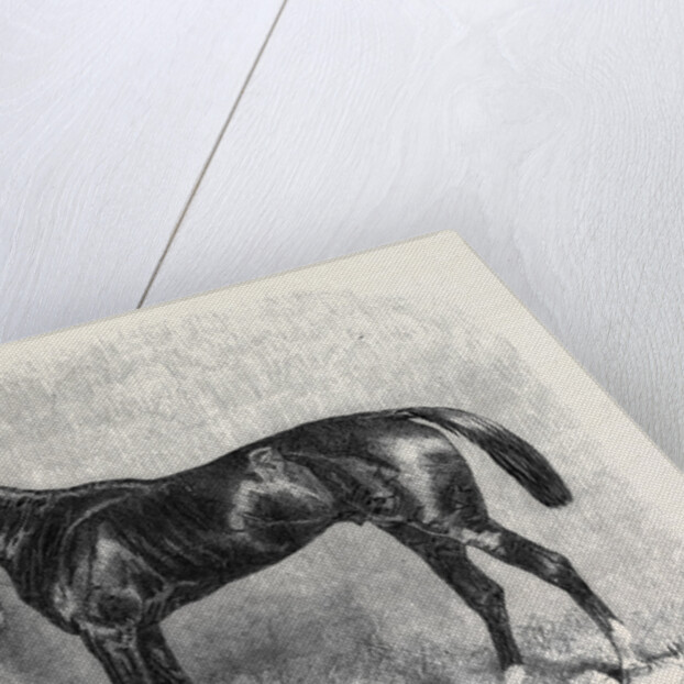 The Goodwood Races Starke the Winner of the Goodwood Cup August 10 1861 by Anonymous