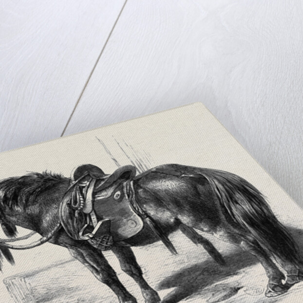 Japanese Horse by Anonymous