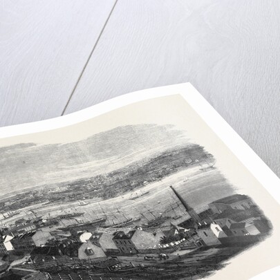 General View of Sydney New South Wales by Anonymous