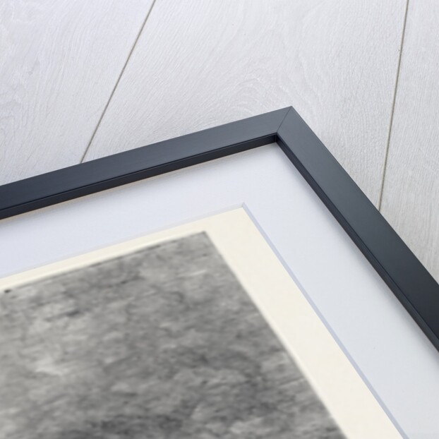 The Royal Party Visiting Lord Castlerosse's Cottage at Glena on the Killarney Lakes the Queen's Visit to Ireland by Anonymous