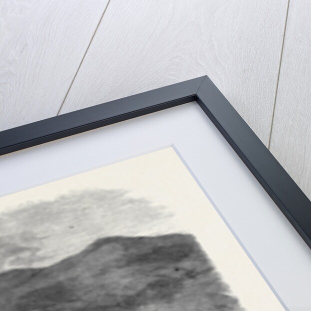 The Queen's Visit to Ireland: Her Majesty Embarking at Ross Castle Lakes of Killarney by Anonymous