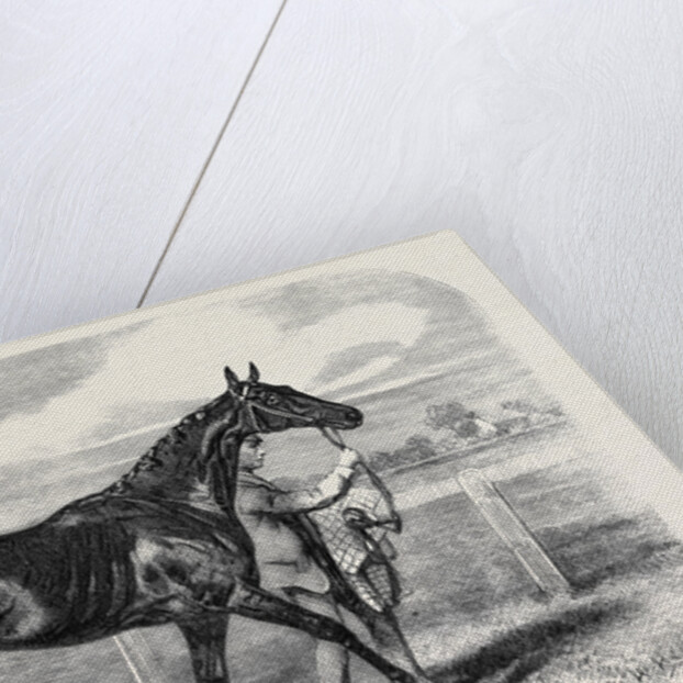 Caller Ou the Winner of the St. Leger by Anonymous