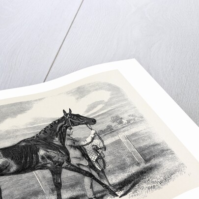 Caller Ou the Winner of the St. Leger by Anonymous
